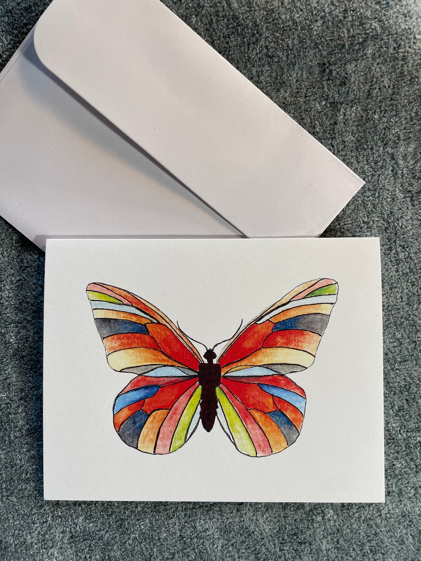 Multi Colored Butterfly with White Background